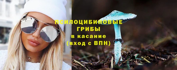 трава Пестово