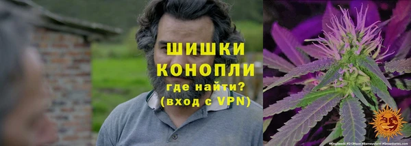 трава Пестово