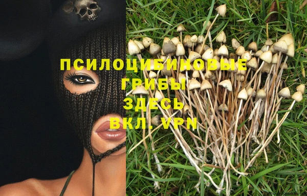 mdma Гусь-Хрустальный