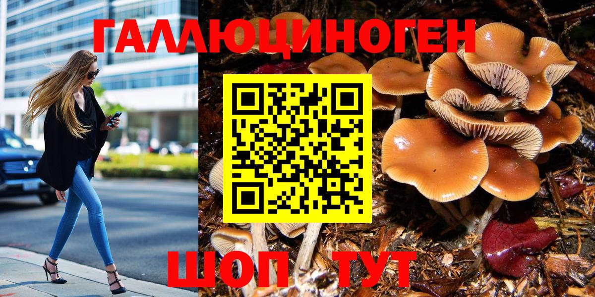 Галлюциногенные грибы Magic Shrooms Амурск