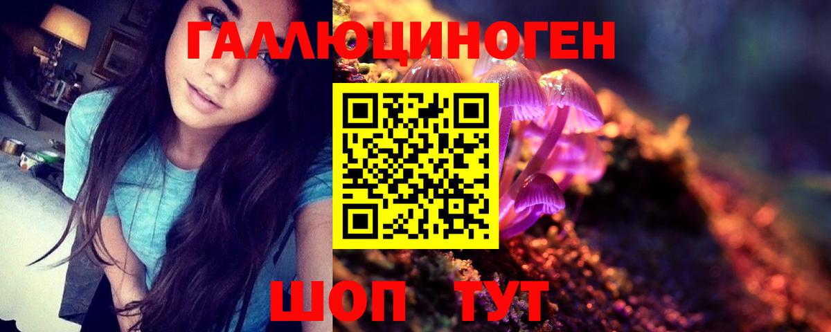 Псилоцибиновые грибы ЛСД  где купить   Амурск  Псилоцибиновые грибы Psilocybe  Вход с VPN 